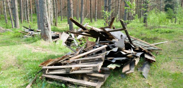 Debris Removal Service in Westlake